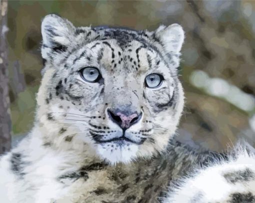 Aesthetic Snow Leopard Paint By Numbers