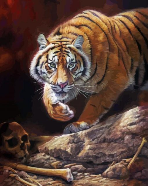American Tiger Paint By Numbers