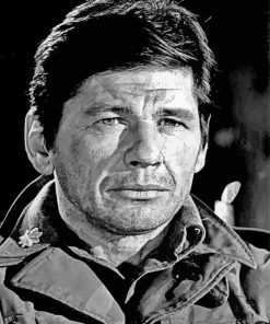 Black And White Charles Bronson Paint By Numbers