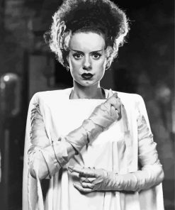 Black And White The Bride Of Frankenstein Paint By Numbers