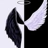 Black And White Angels Wings Paint By Numbers