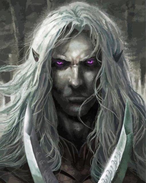 Drizzt Face Art Paint By Numbers