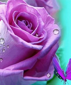 Lilac Rose And Butterfly Paint By Numbers