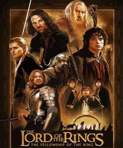 Lord Of The Rings Fellowship Poster Paint By Numbers