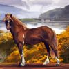 Mare Horse Animal Art Paint By Numbers