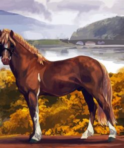 Mare Horse Animal Art Paint By Numbers