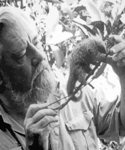 Naturalist Gerald Durrell Paint By Numbers