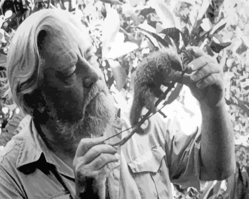 Naturalist Gerald Durrell Paint By Numbers