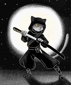 Ninja Cat Illustration Paint By Numbers