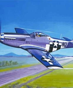 P51 Mustang Aircraft Paint By Numbers