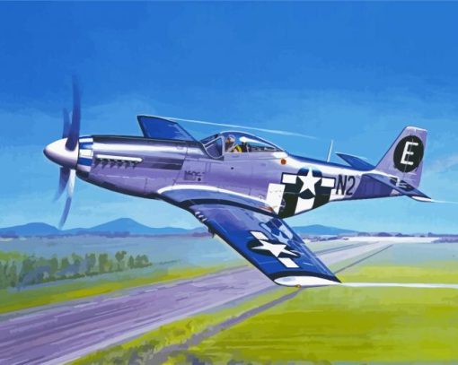 P51 Mustang Aircraft Paint By Numbers