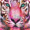 Pink Tiger Animal Paint By Numbers
