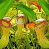 Pitcher Plant Art Paint By Numbers