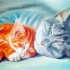 Sleepy Cat And Kitten Snuggling Paint By Numbers