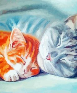 Sleepy Cat And Kitten Snuggling Paint By Numbers