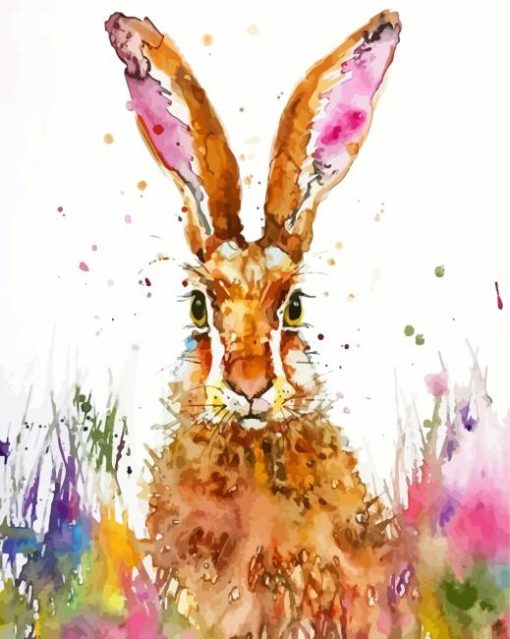 Splatte Rabbit Animal Paint By Numbers
