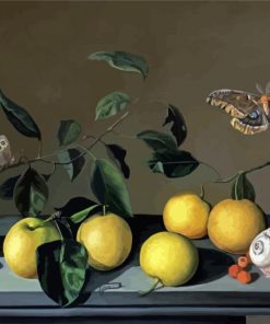 Still Life With Fruit And Moth Paint By Numbers