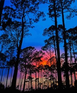 Sunset Forest Paint By Numbers