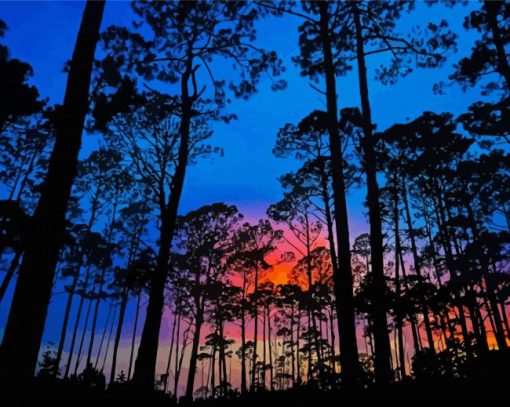 Sunset Forest Paint By Numbers