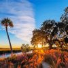 Sunset In St simons Island Paint By Numbers