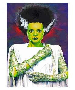 The Bride Frankenstein Paint By Numbers