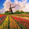 Tulip Field Art Paint By Numbers