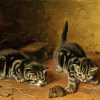 Two Tabby Cats Paint By Numbers