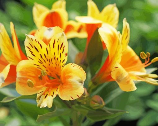 Yellow Alstroemeria Flower Paint By Numbers