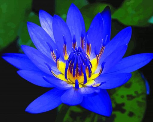 Aesthetic Blue Lotus Flower Paint By Numbers