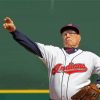 Aesthetic Bob Feller Paint By Numbers