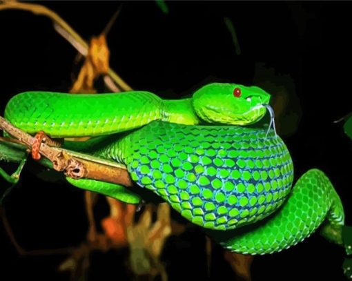 Aesthetic Green Snake Paint By Numbers