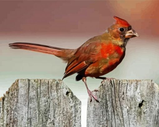 Aesthetic Juvenile Cardinal Bird Paint By Numbers