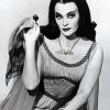 Aesthetic Lily Munster Paint By Numbers