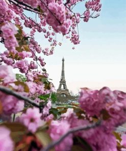 Aesthetic Pink Blossom In Paris Paint By Numbers