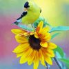 Aesthetic Sunflower Bird Paint By Numbers