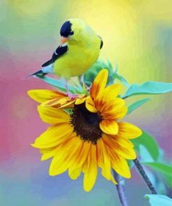 Aesthetic Sunflower Bird Paint By Numbers