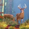 Aesthetic Whitetail Deer Paint By Numbers