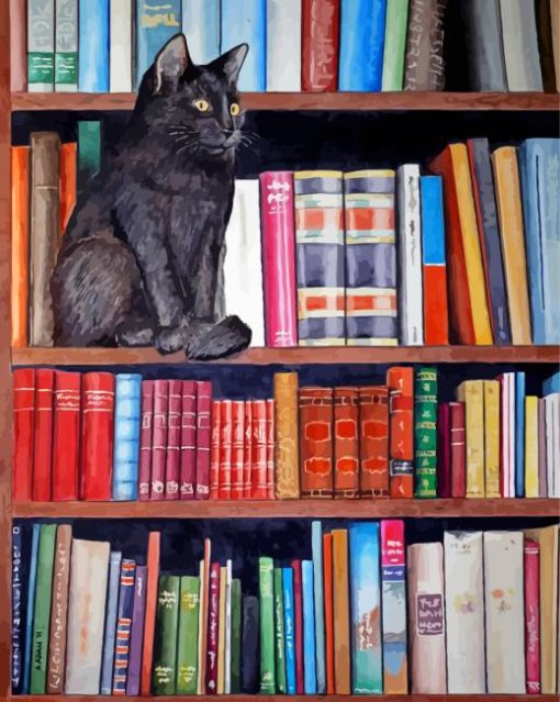 Beautiful Cat Bookcase Art Paint By Numbers