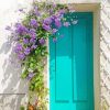 Blue Flowery Door Paint By Numbers