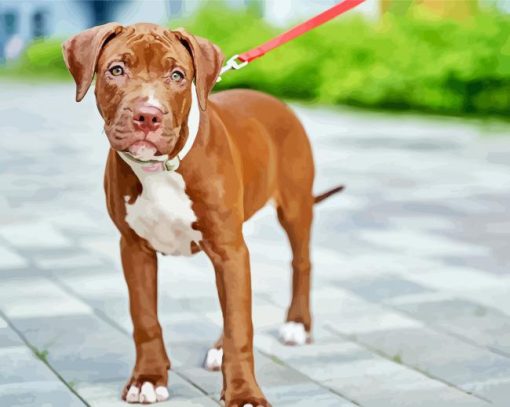 Brown Pit Bull Puppy Paint By Numbers