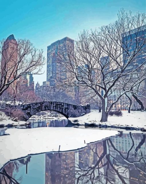 Calm Winter Central Park Paint By Numbers