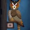 Cool Long Eared Owl Paint By Numbers