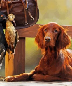 Cool Red Setter Paint By Numbers