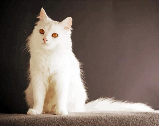 Cool White Cat Paint By Numbers
