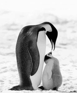 Cute Black And White Penguins Paint By Numbers
