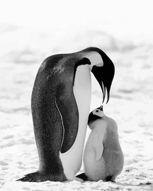 Cute Black And White Penguins Paint By Numbers
