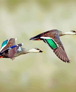 Cute Ducks In Flight Paint By Numbers