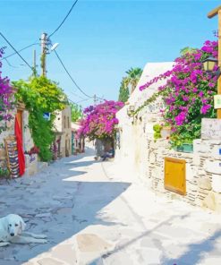 Datca Street Turkey Paint By Numbers