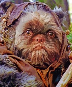 Fictional Ewok Paint By Numbers