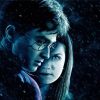 Harry and Ginny Weasley Paint By Numbers